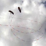 Had robinson usa paramania gtr GTR 24